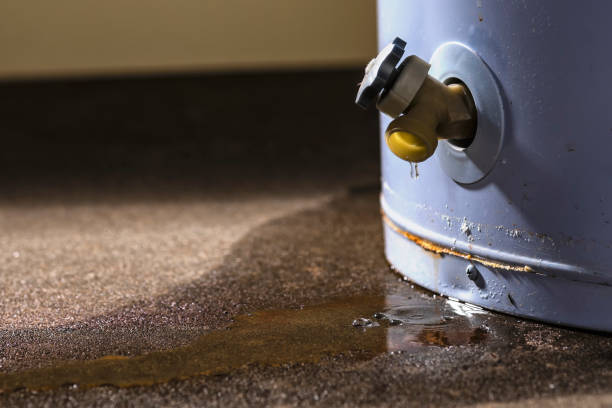 Best 24/7 water damage repair  in Waverly, TN
