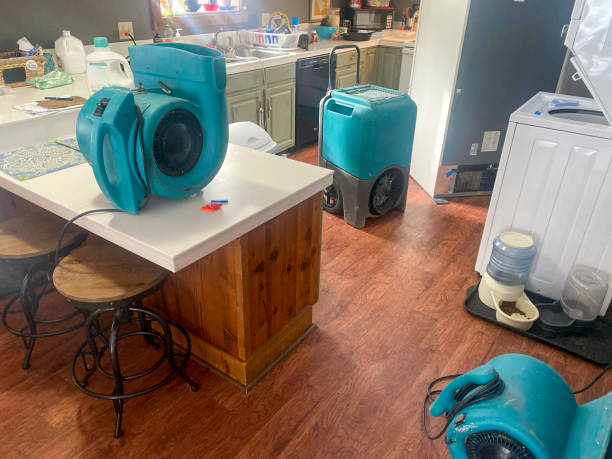 Best Ceiling water damage repair  in Waverly, TN