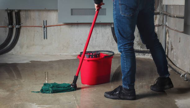 Best Water damage restoration mold remediation  in Waverly, TN