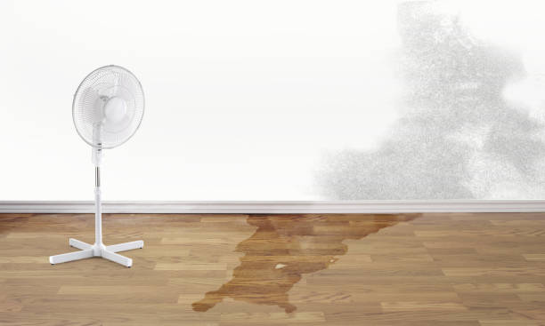 Best Basement water damage restoration  in Waverly, TN