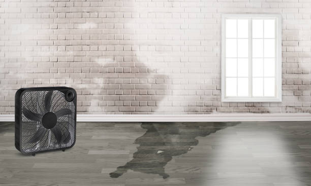 Best Ceiling water damage repair  in Waverly, TN