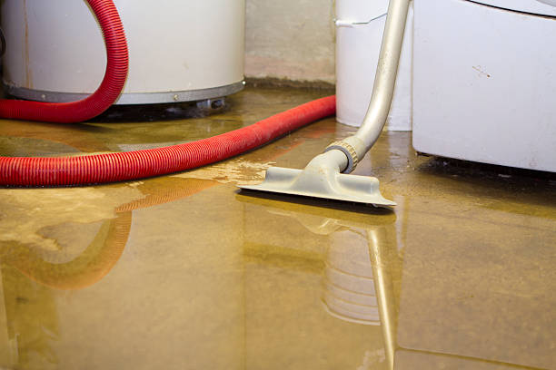 Best Carpet water damage restoration  in Waverly, TN