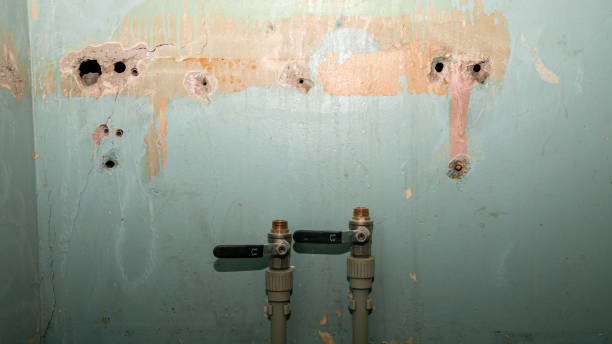 Best Local water damage restoration  in Waverly, TN