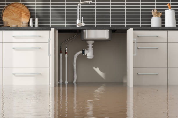 Best Flood restoration services  in Waverly, TN